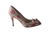 Lady Rose pink